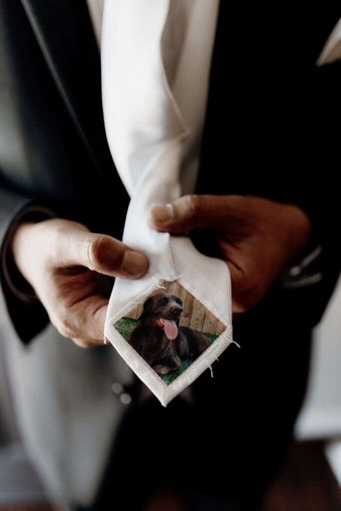A person in a suit holds a white necktie with a small image of a smiling dog in a green setting sewn onto the underside, possibly styled by a talented McAllen wedding photographer.
